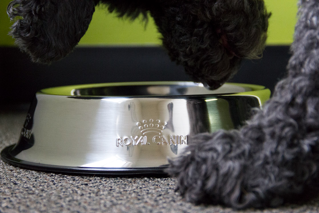 Royal Canin - Pet Bowl